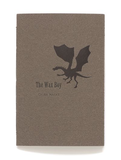 An image of a Book titled The Wax Boy