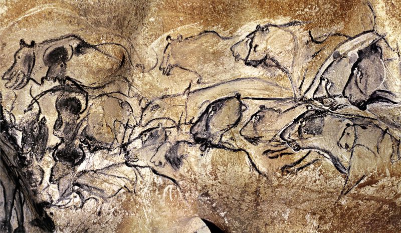 An image of a Drawing titled a cave painting of lions in Chauvet Cave, from the Palaeolithic Era by artist China Marks
